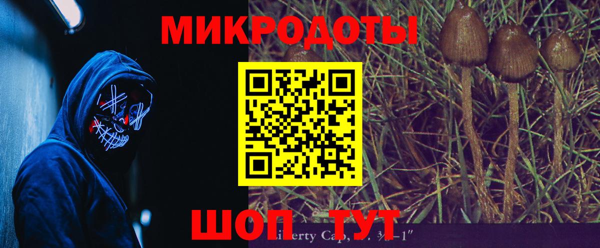 Галлюциногенные грибы Psilocybine cubensis  Вход с VPN  Большой Камень  Псилоцибиновые грибы Psilocybe 