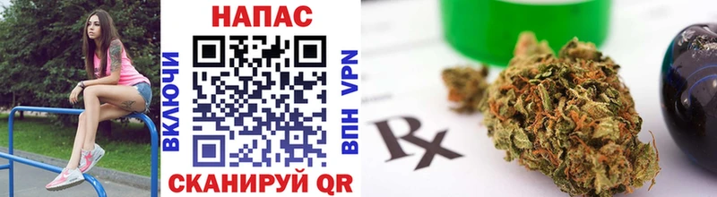 Конопля Bruce Banner  где можно купить   Большой Камень 